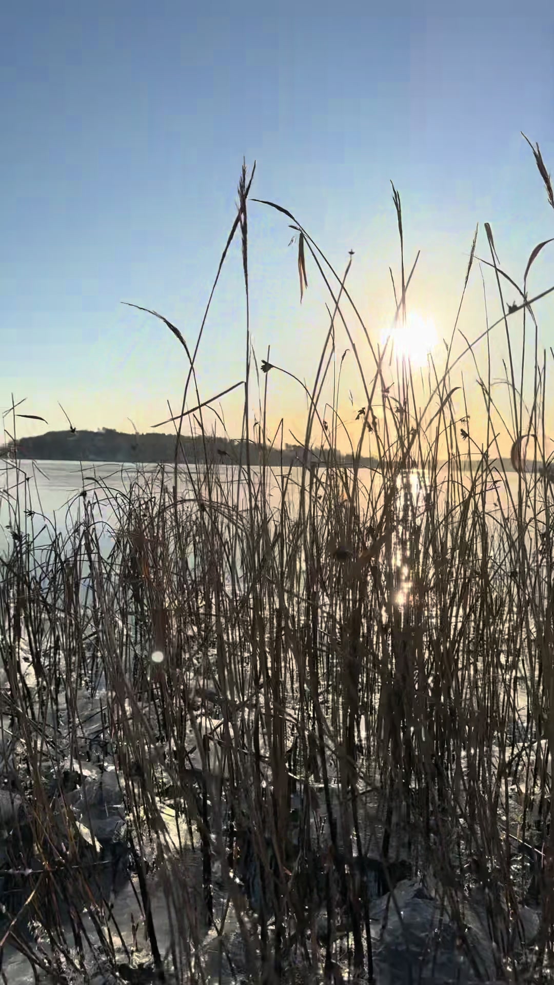 @CarinaWestcoastSweden🇸🇪