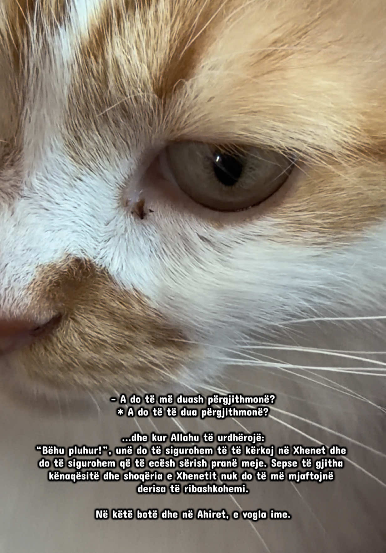 @𝐿𝓊𝓂𝑒𝓃 𝒷𝓎 𝐸𝓇𝒶𝓁𝒹𝒶