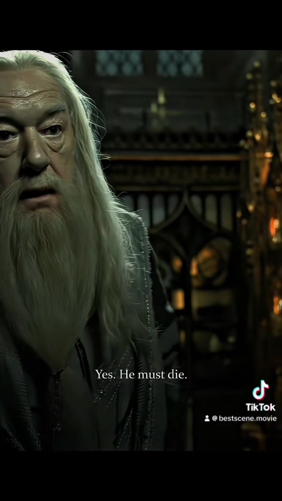 @Just a Potterhead 🫡