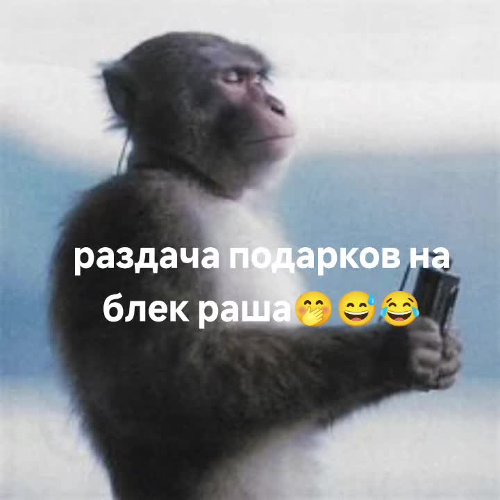 @pohabshina