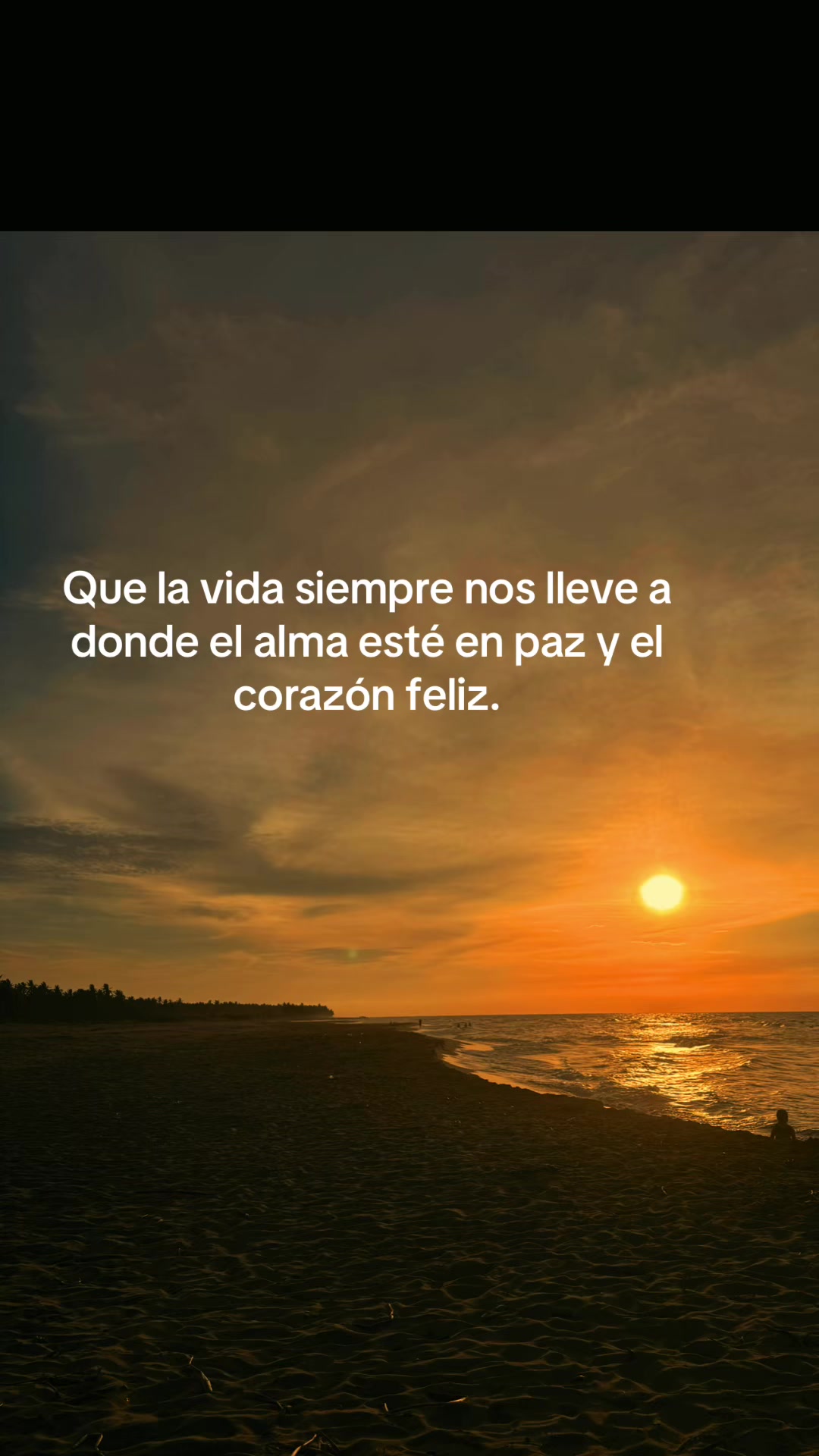 @Pauleth castellanos