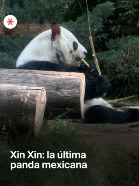 @CDMX Secreta
