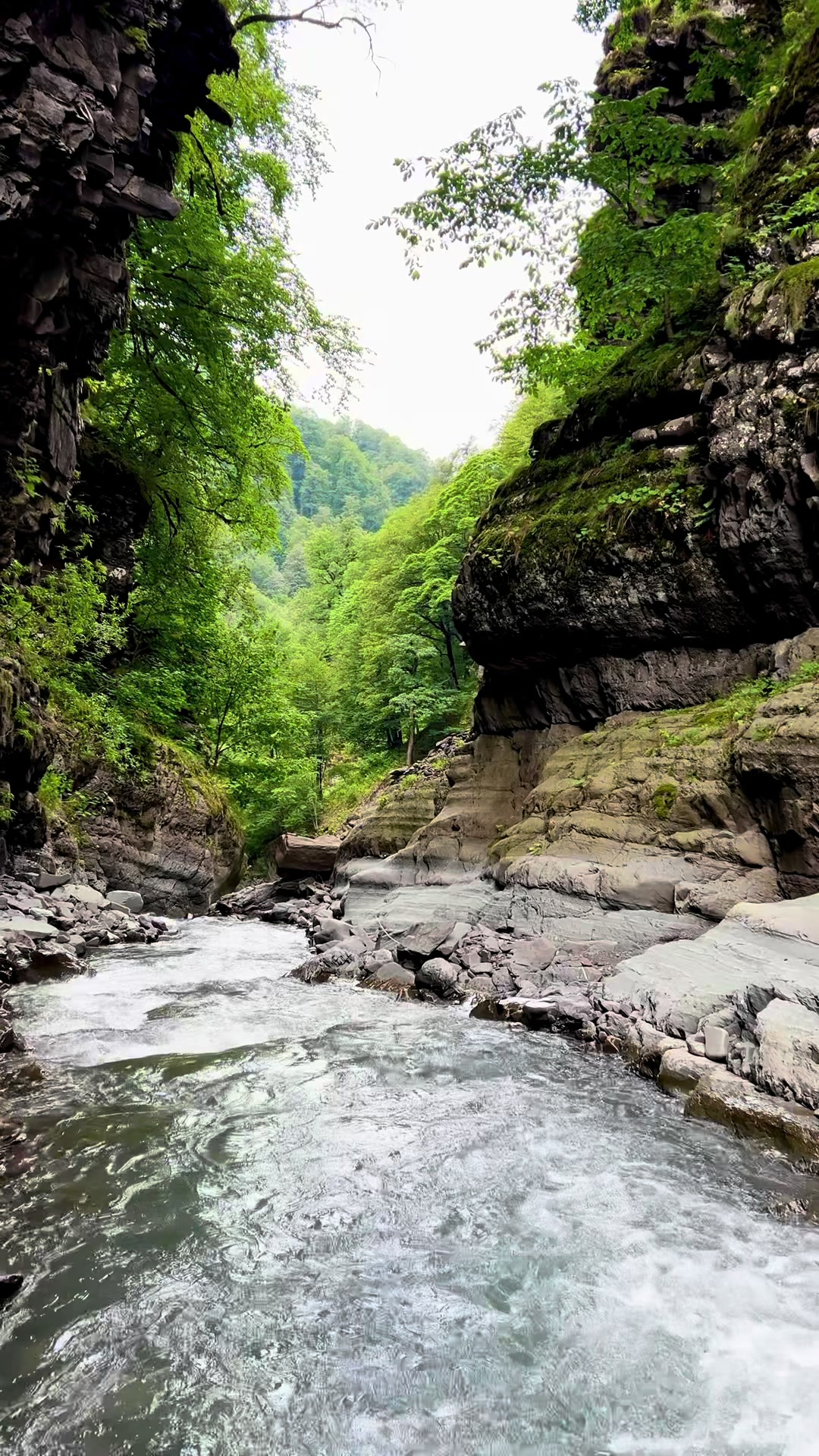 @𝑨𝒅𝒊𝒍𝒐𝒗🌿