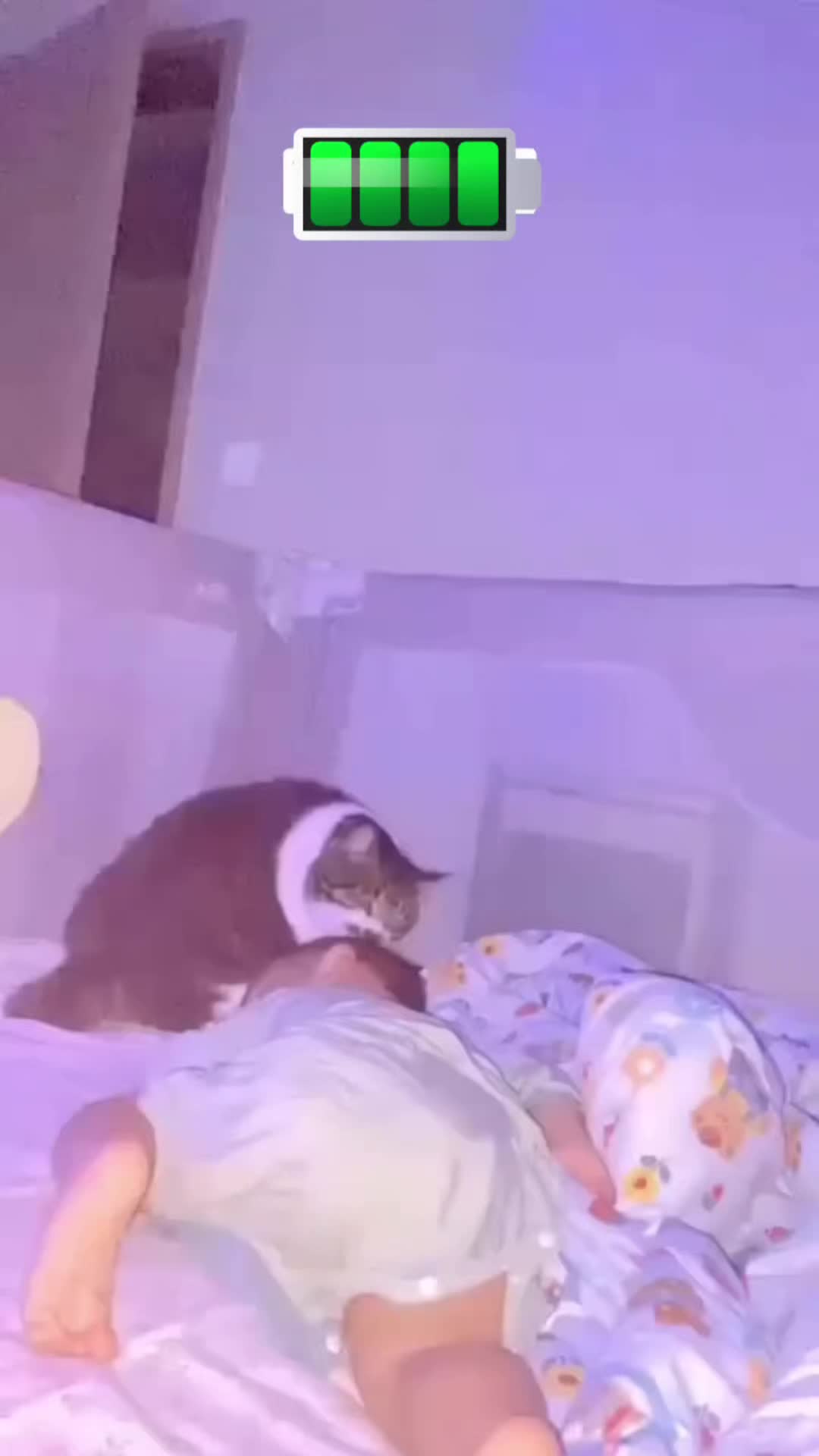 @Ahperzhan