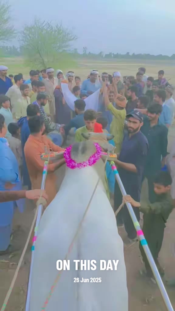 @چوہدری شاہد سلیم مڑل