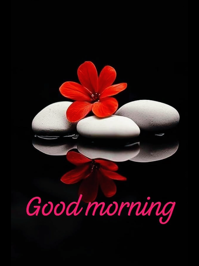 @nadine_49love.