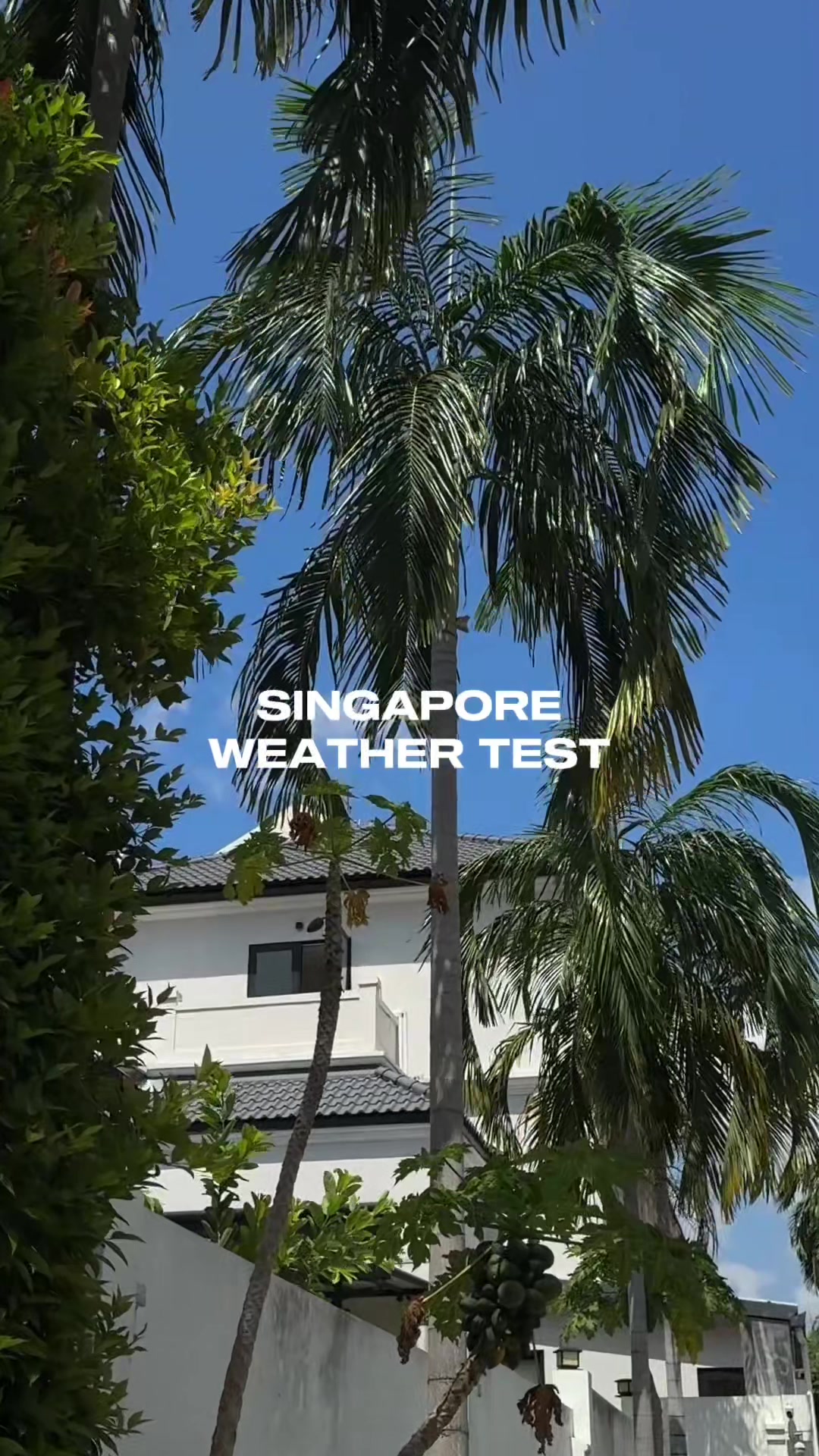 @sophie ong
