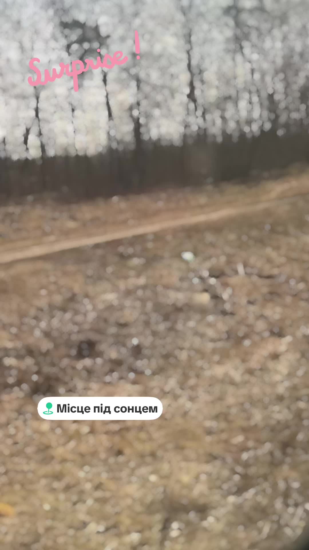 @Юлия Копитко