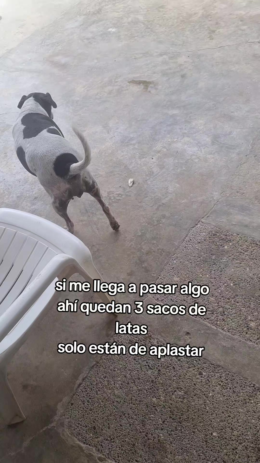 @MANCHAS 0714 OFICIAL