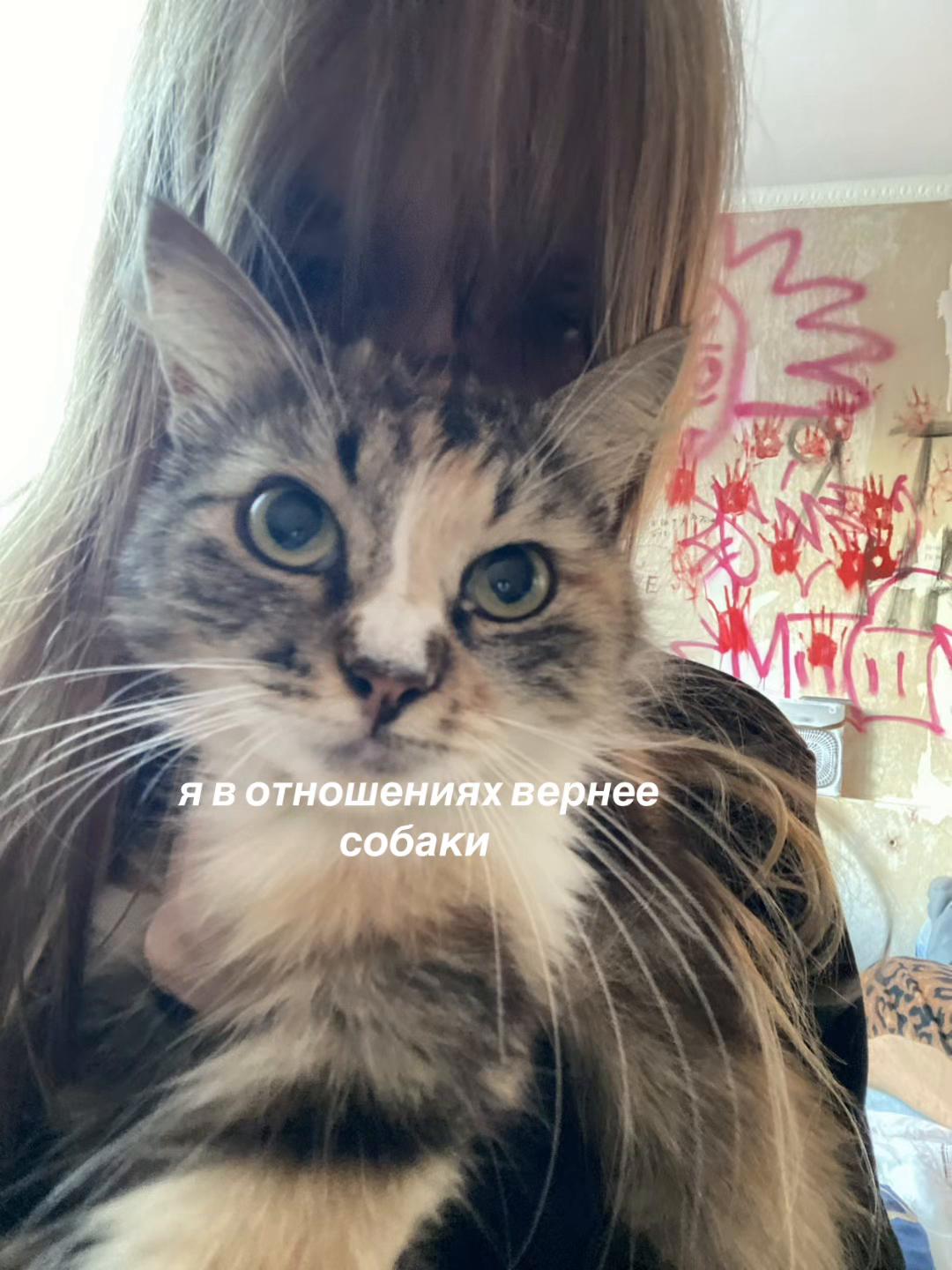 @тгк: горечь на сердце