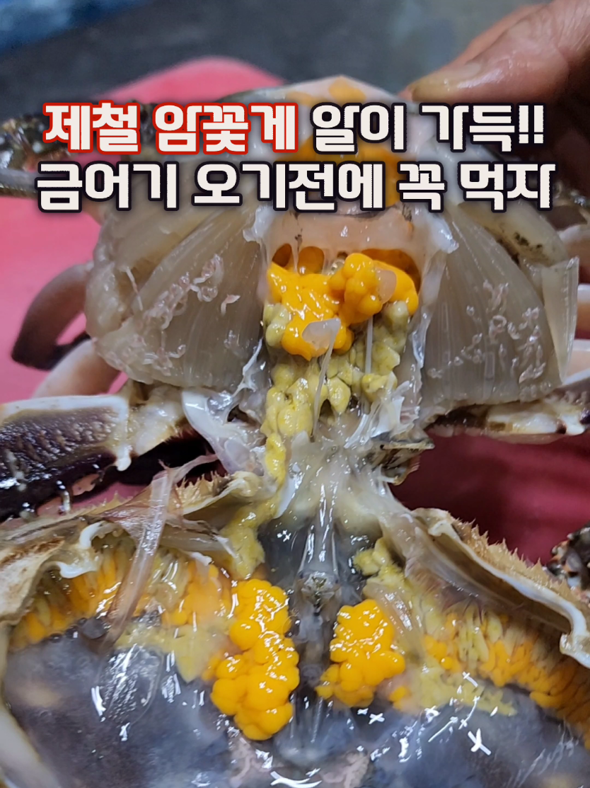 @먹장군 - 인천맛집 경기맛집 서울맛집
