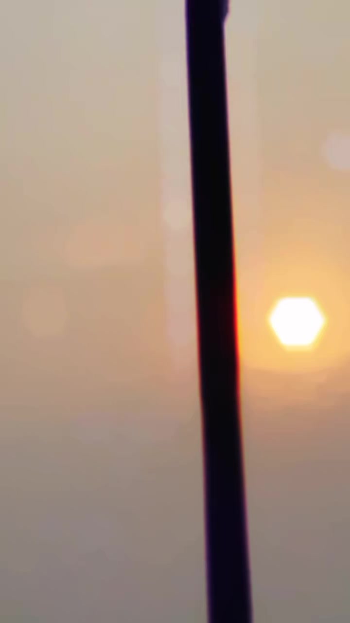 @sana khan 16302