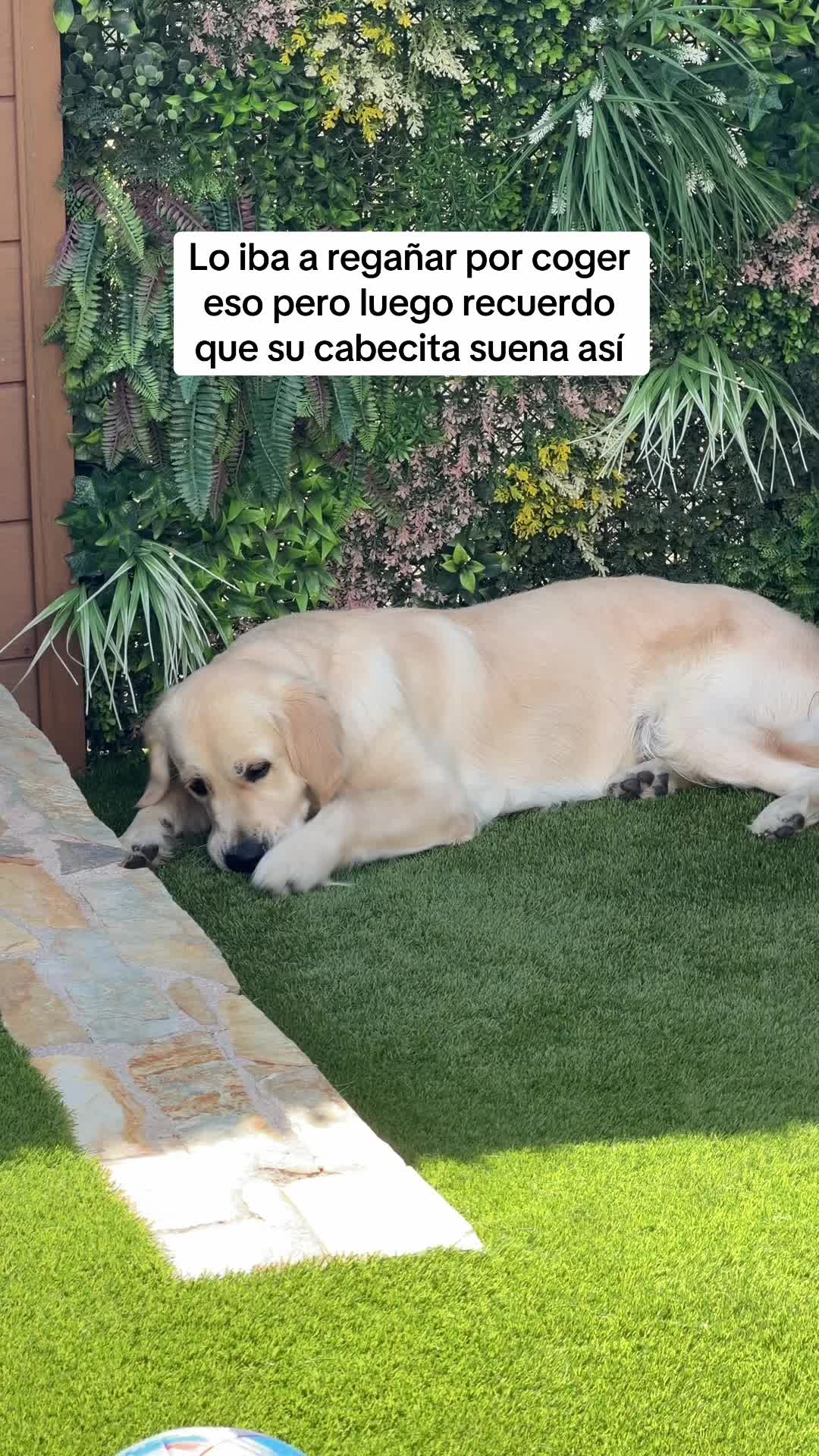 @Claudia Martinez