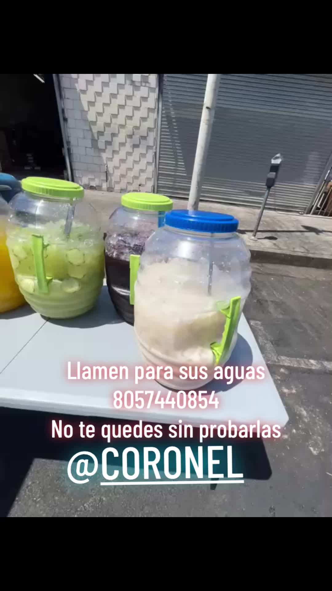 @peluche9260
