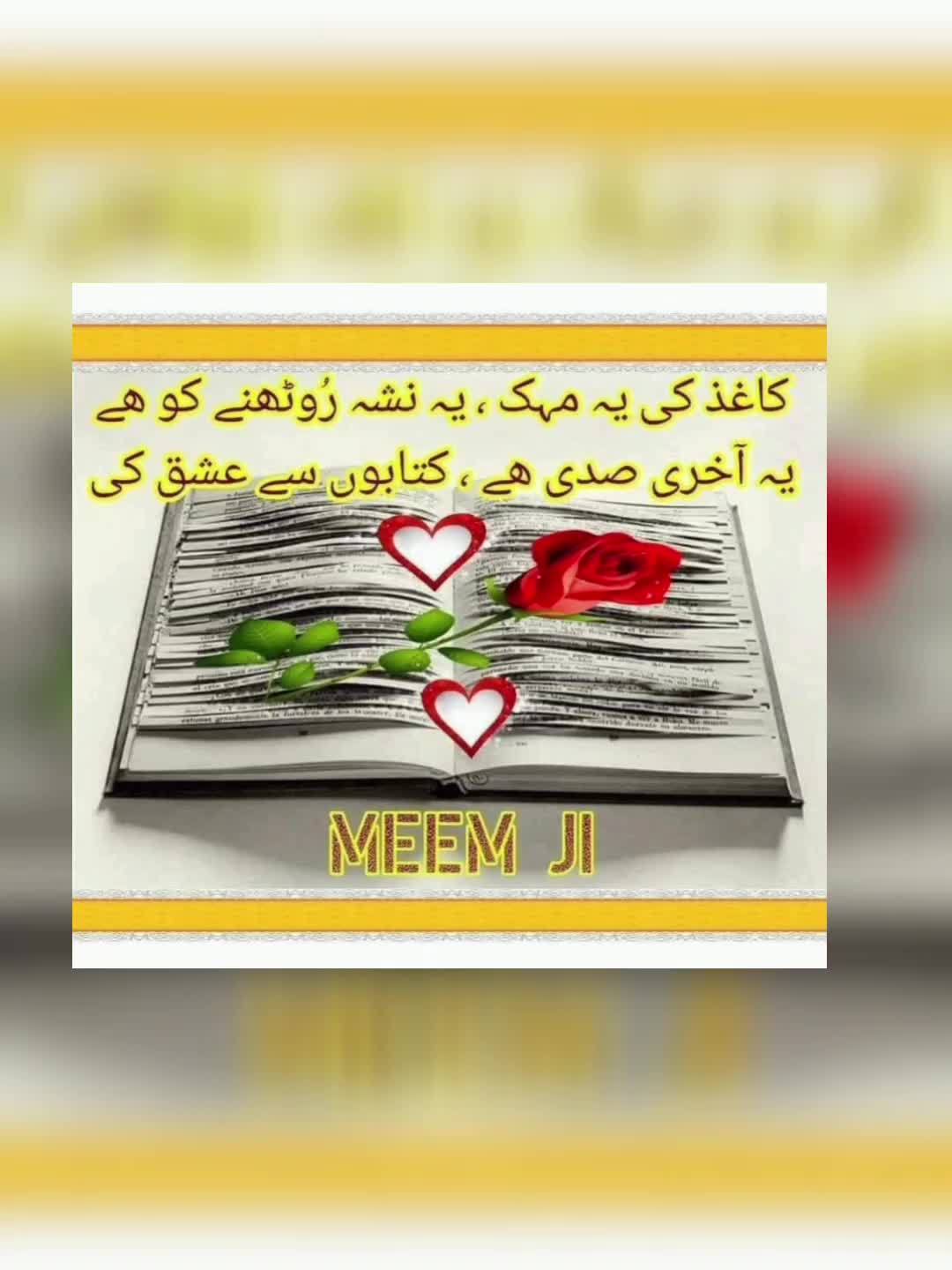 @🌹MeEm jEe SHeIkH میم جی 🌹Uk