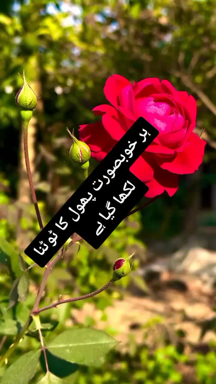 @ishq ibadat