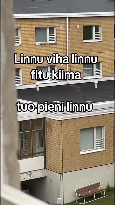 @Musa🇫🇮