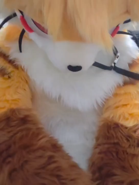 @radywolf