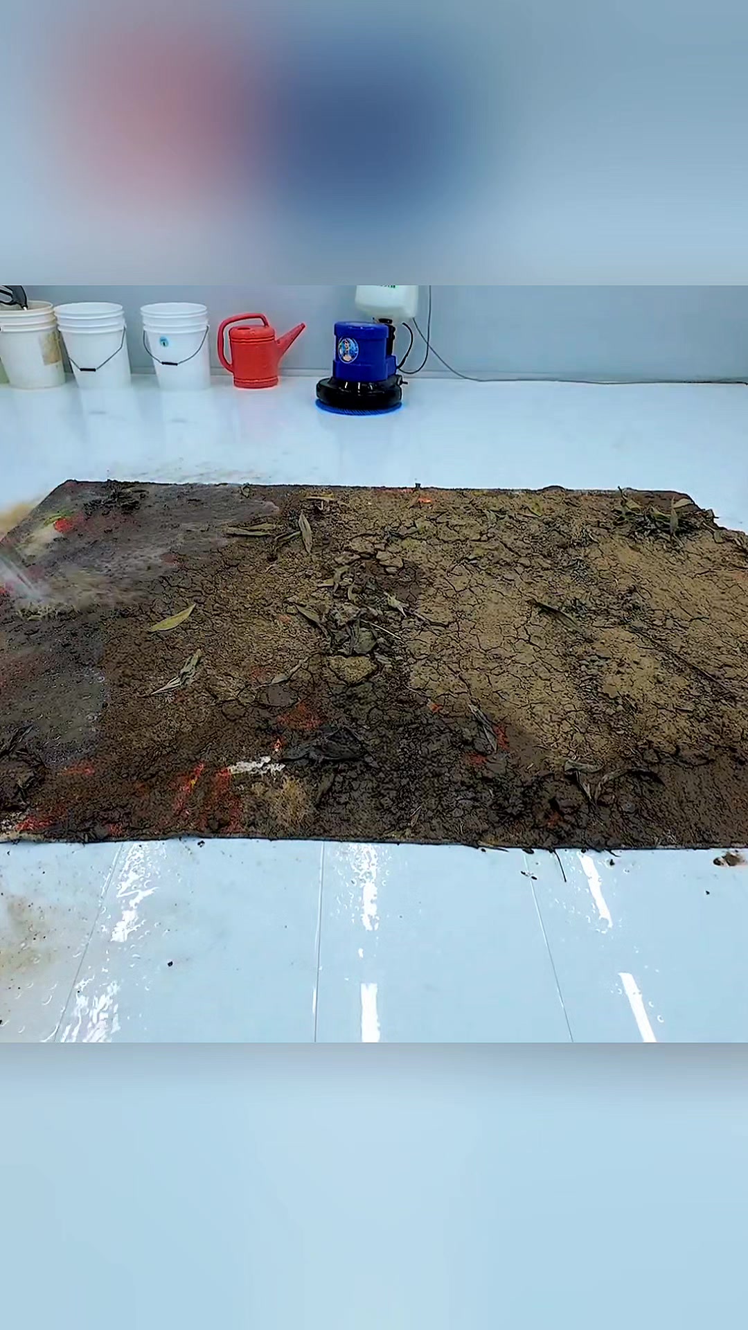 @Rug Restore