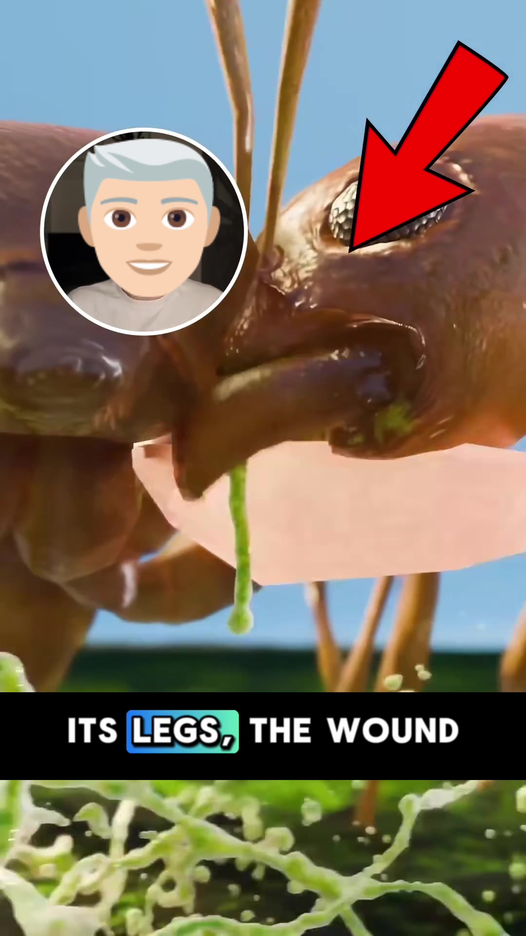 @OriginalVideo