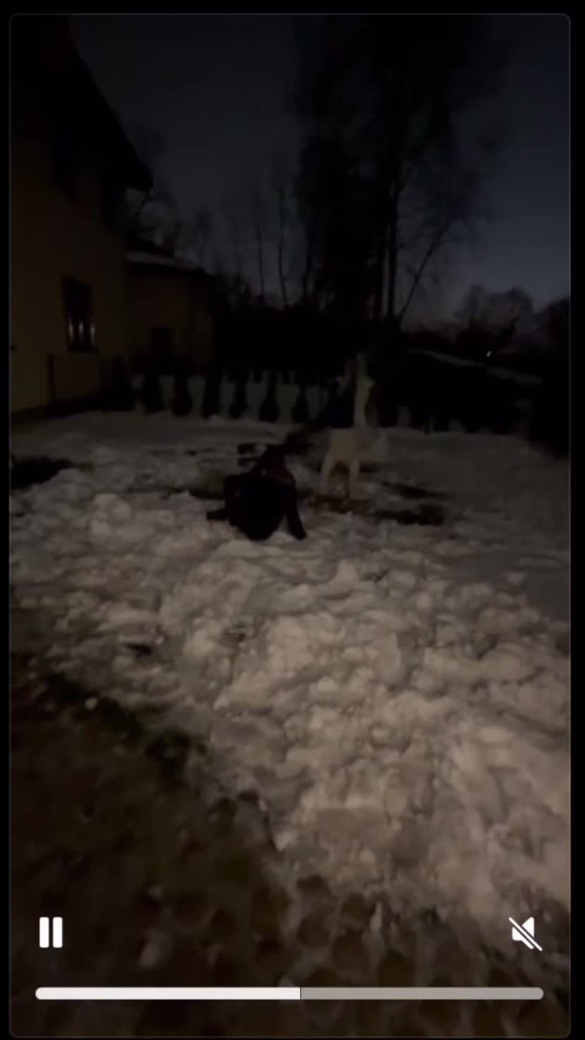 @Ксюшка