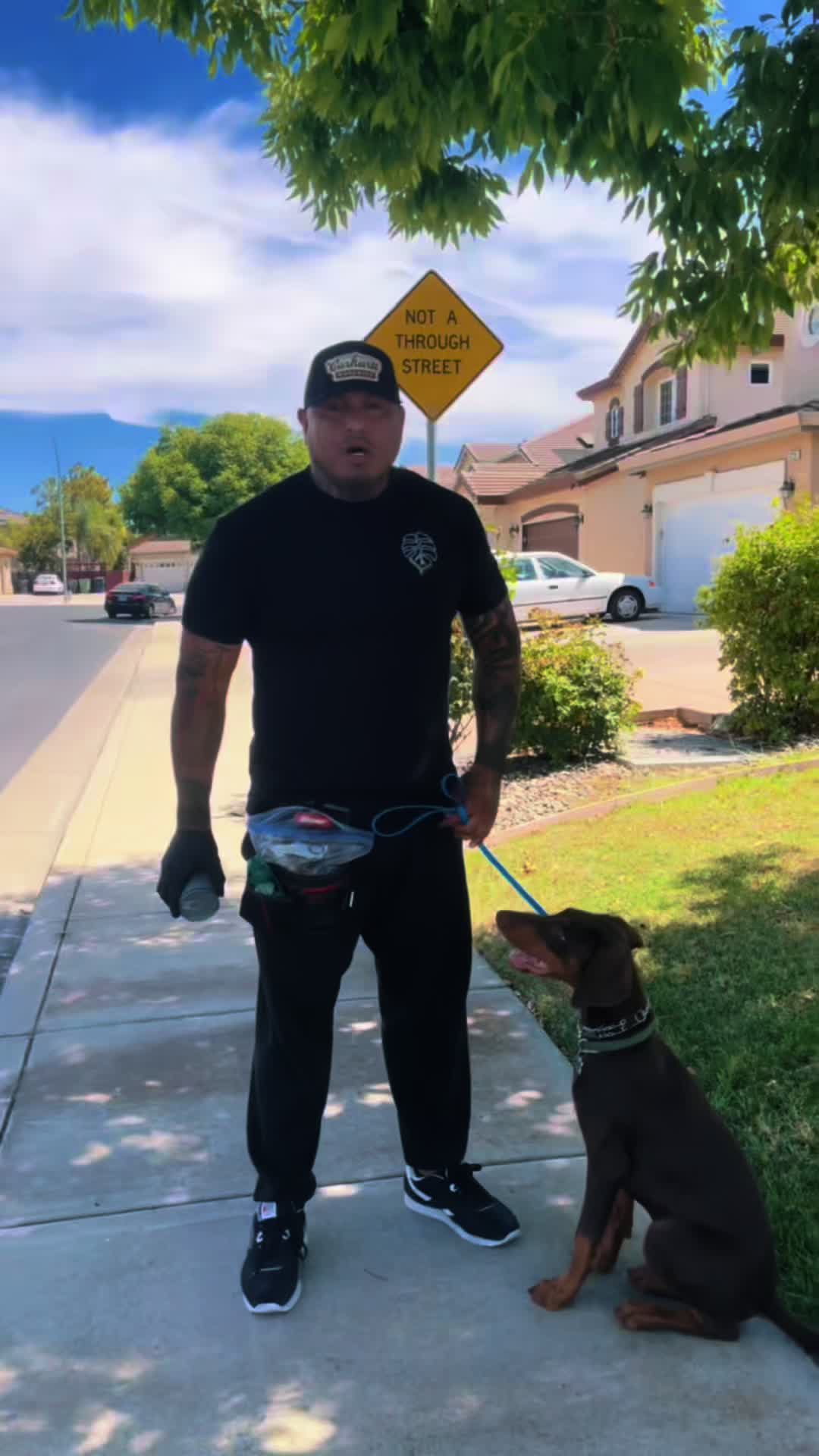 @Tactical K9s Dog Training