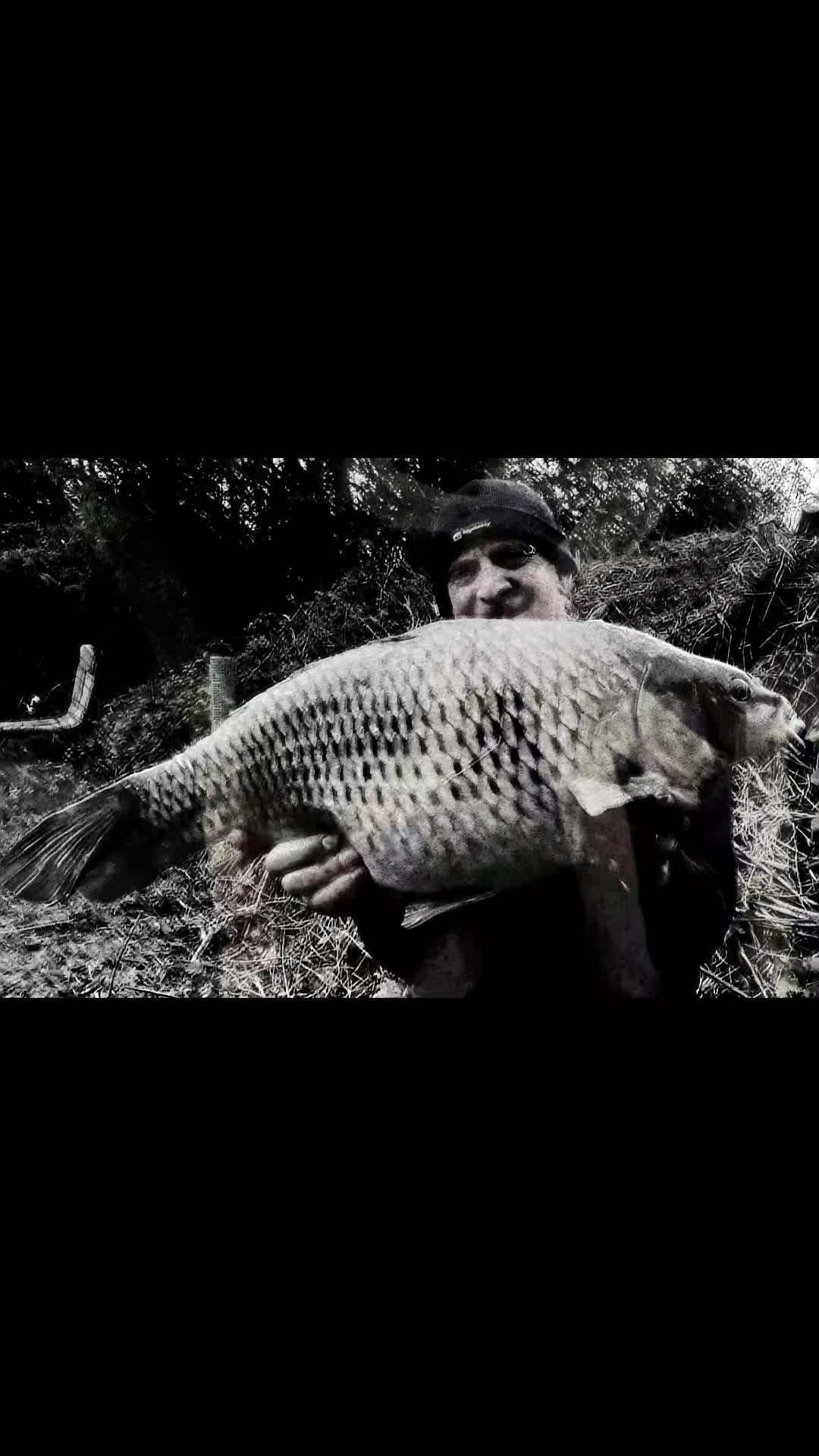 @BIO BAITS