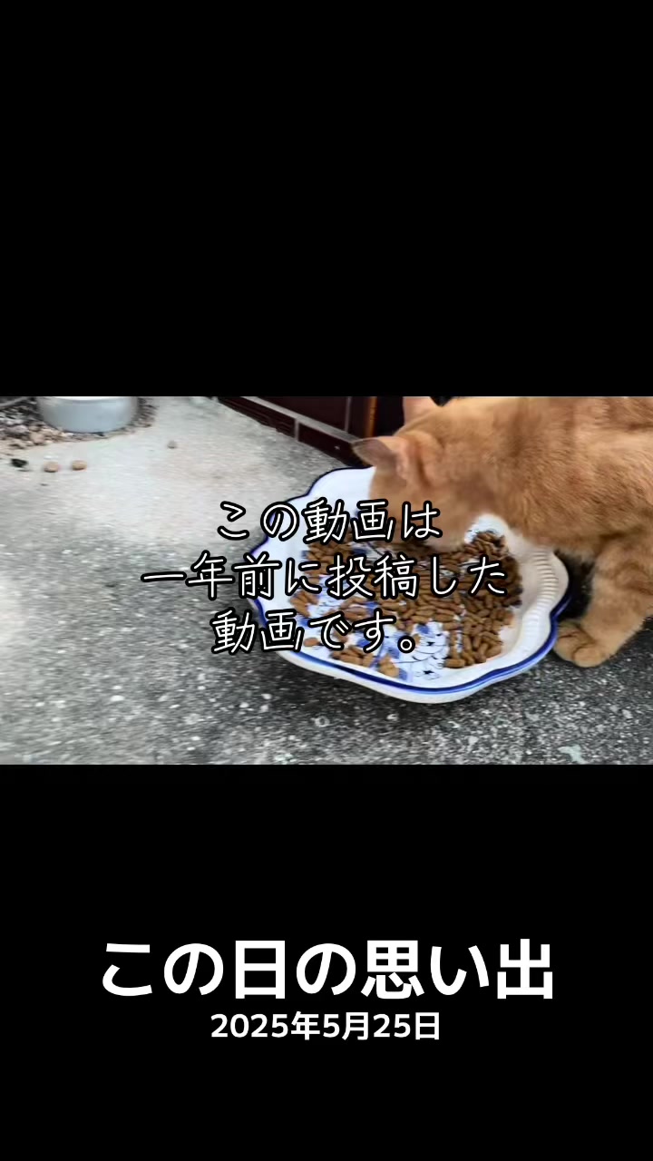 @ブルースカイの倫