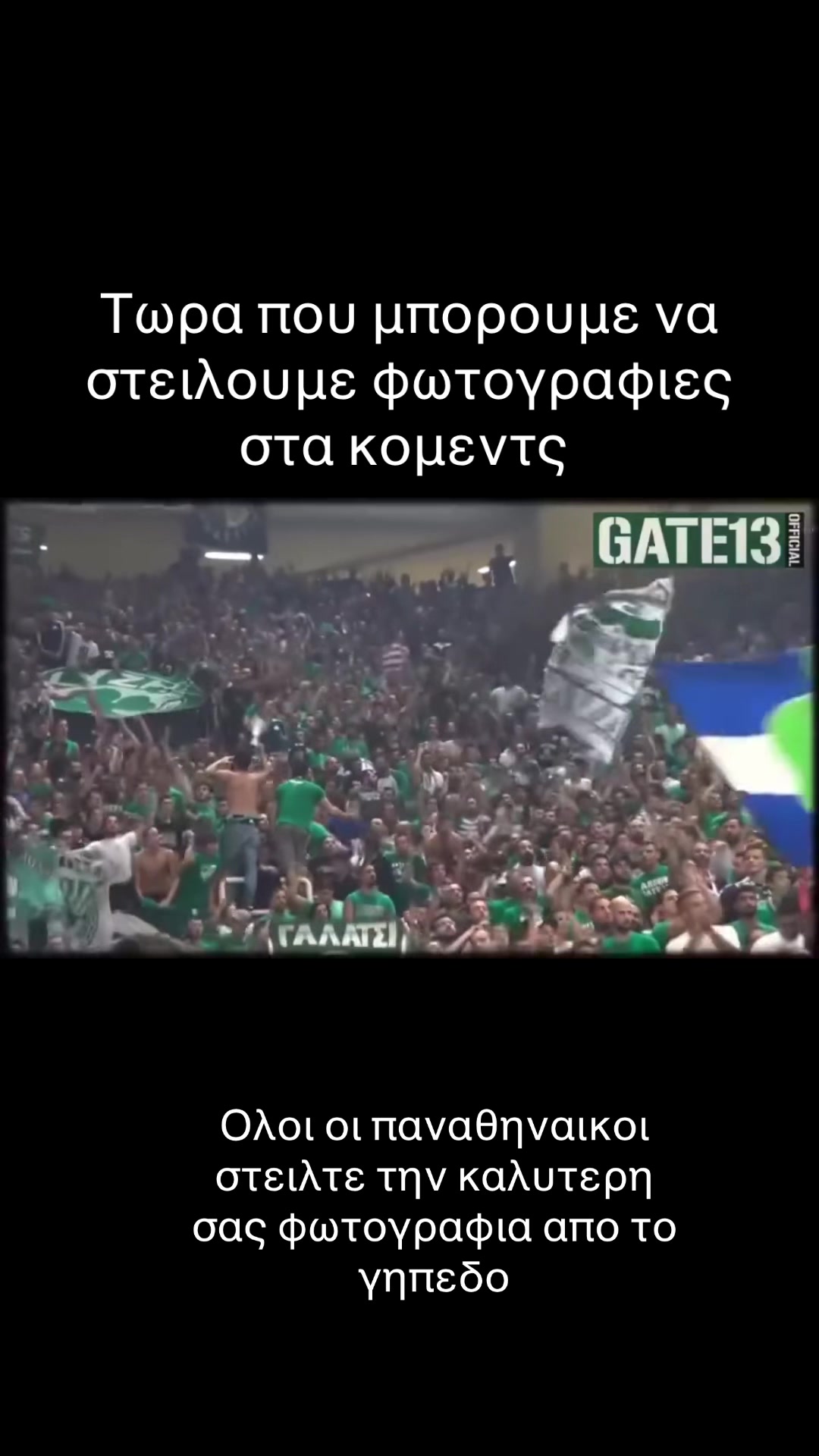 @Green blood☘️