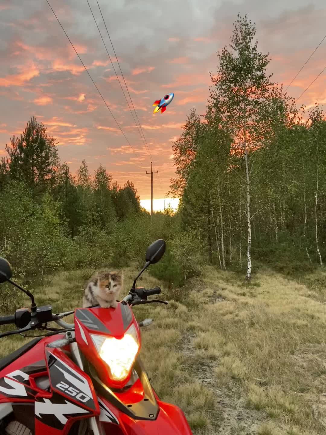 @_с_а_н_я_