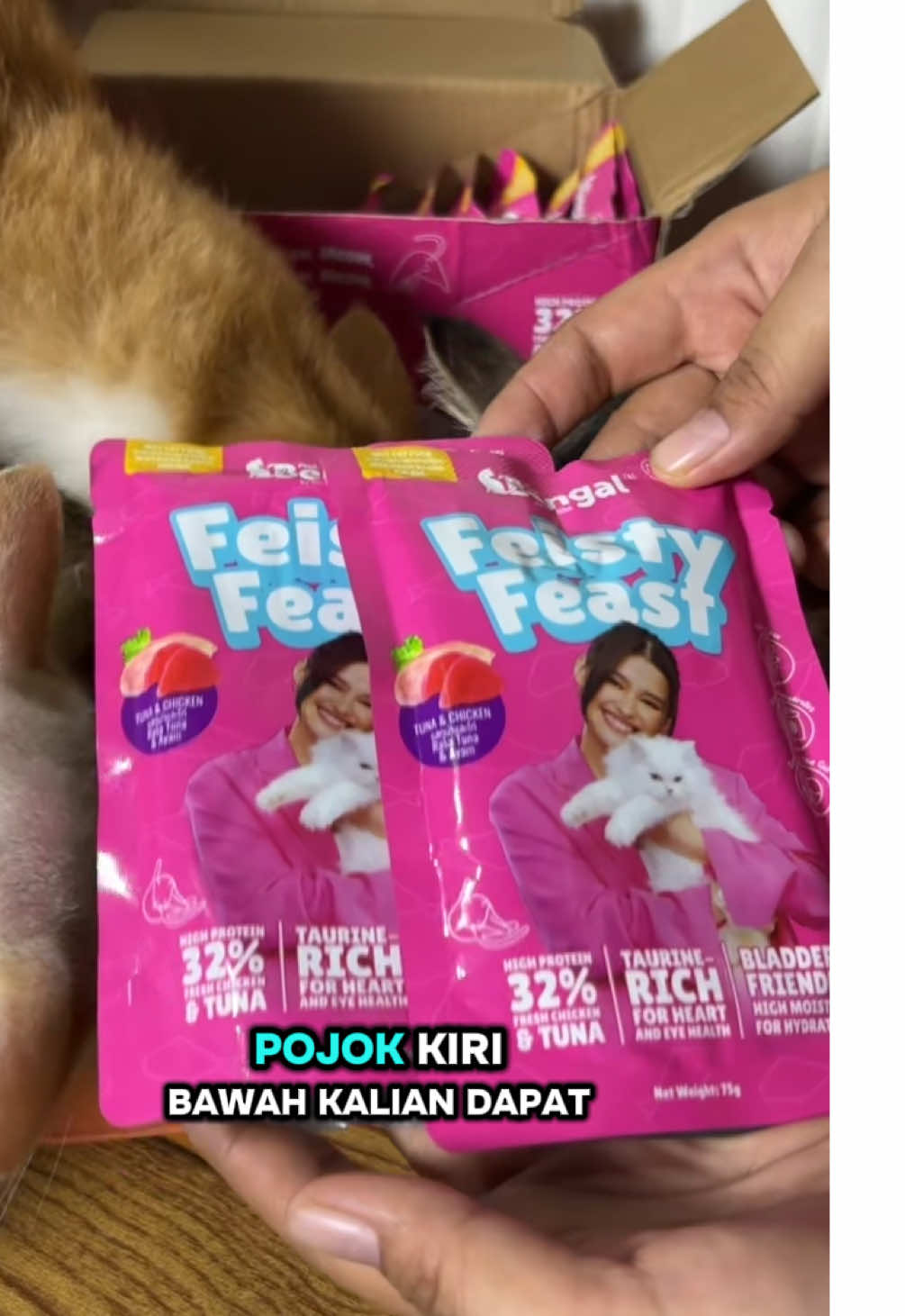 @BUMI ANABUL😺