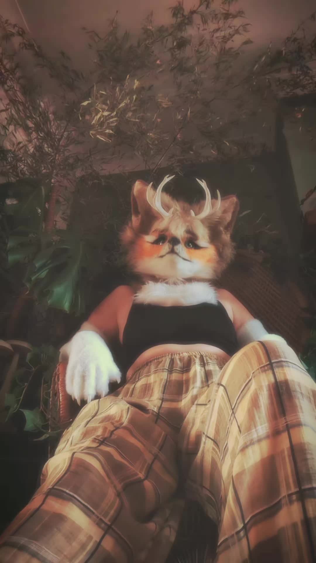 @Fen