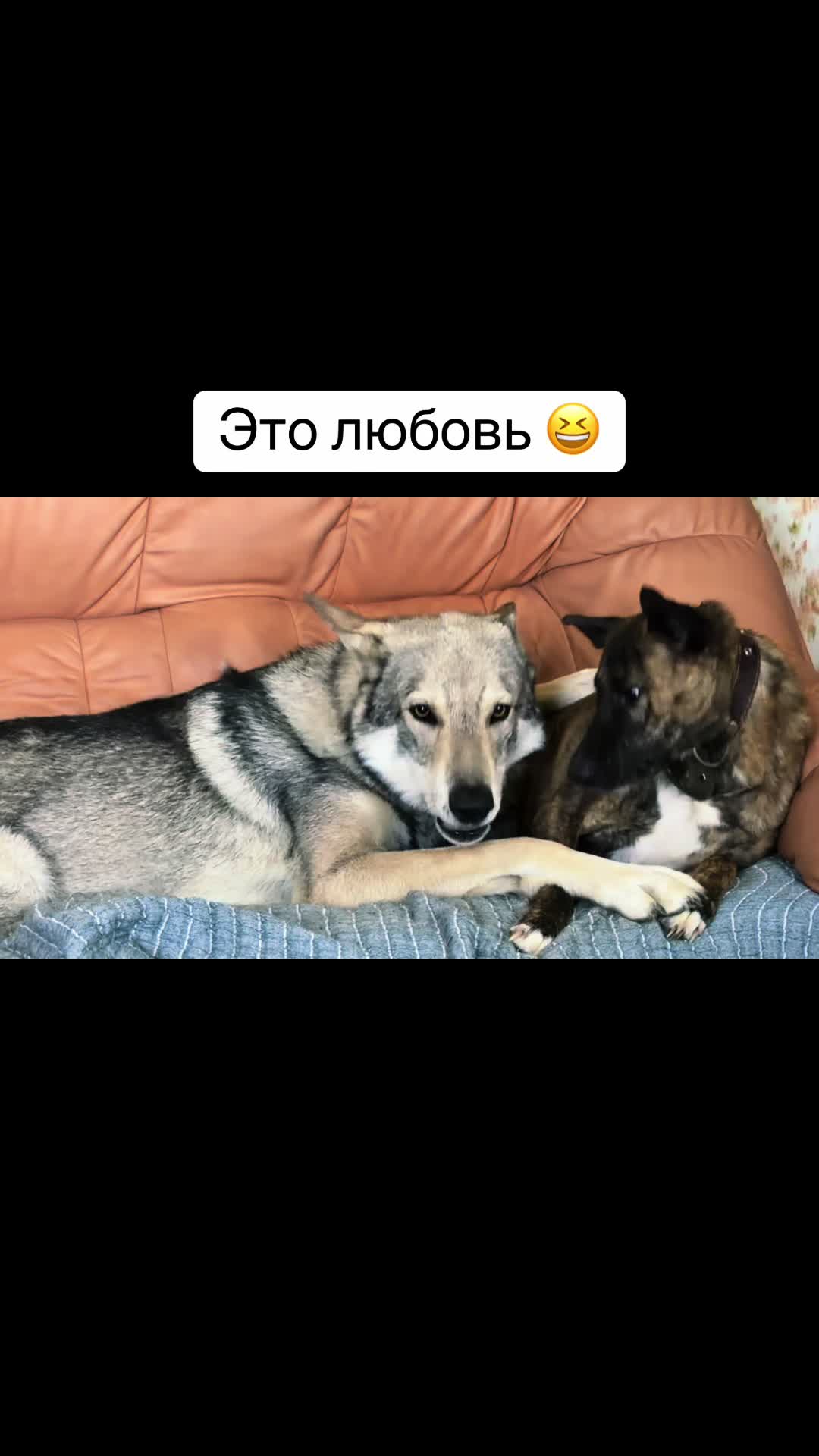 @Zjuzik