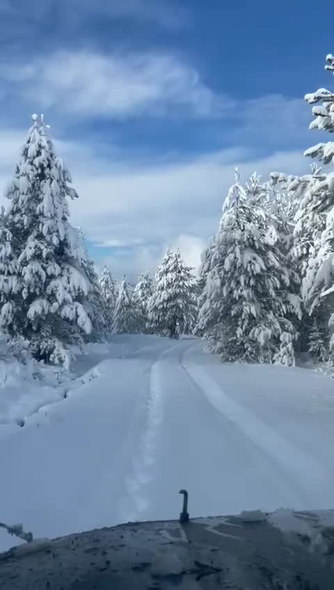 @𝓛𝓮𝓽🦋