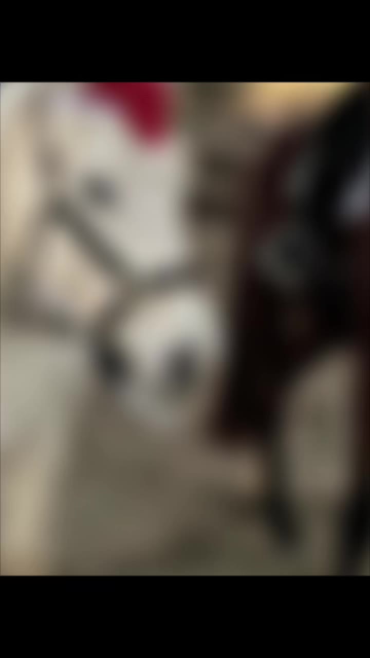 @Nouncia