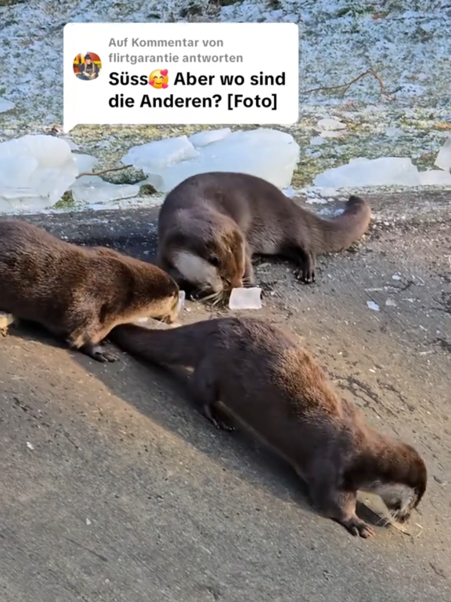 @WildparkLH