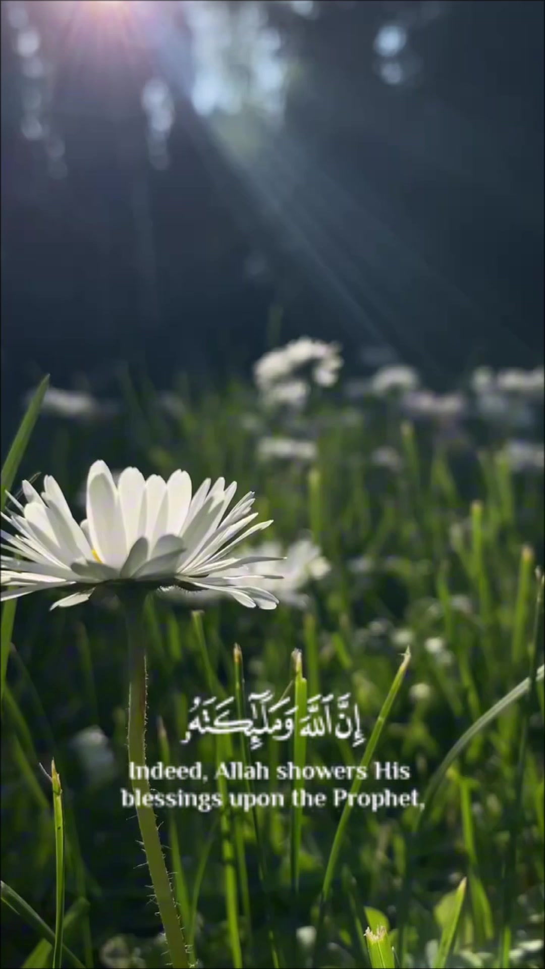 @قــرآن 1447هـ📚