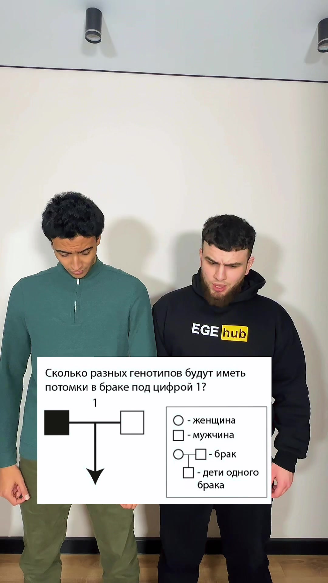 @Рамис Загиров | ЕГЭhub