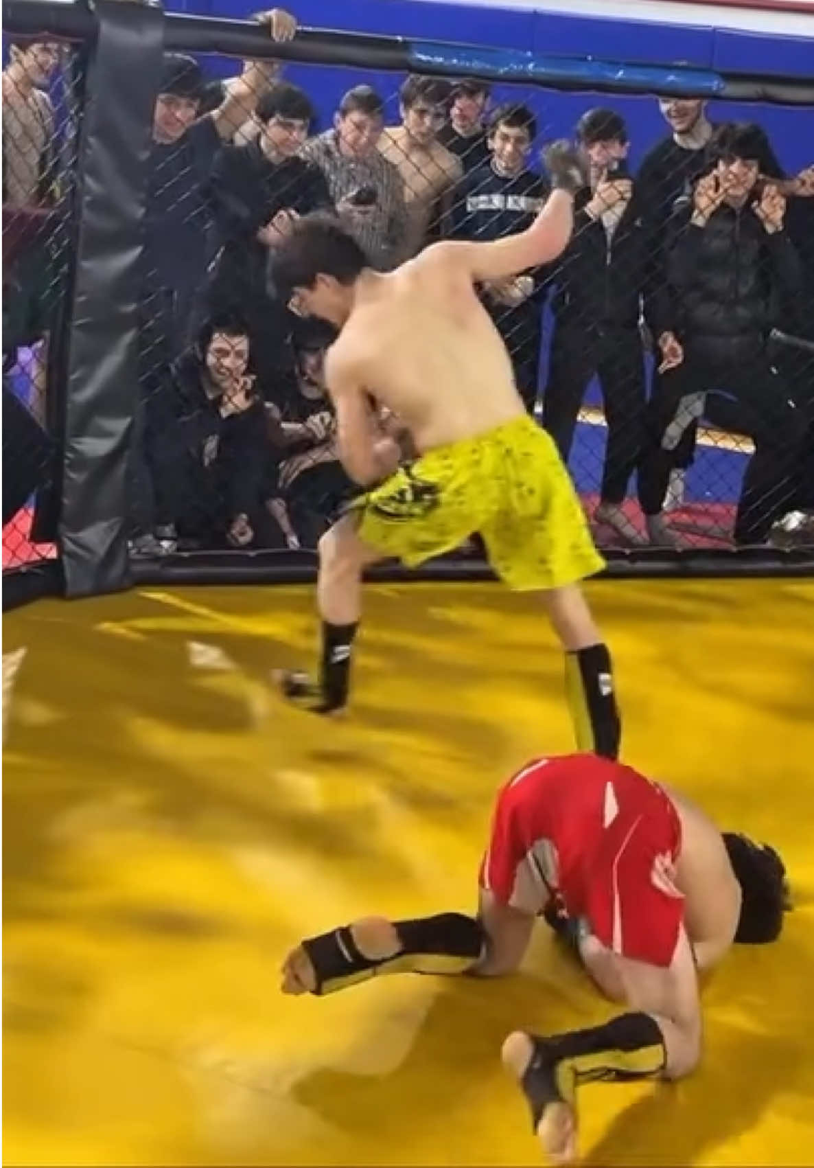@FightingLab