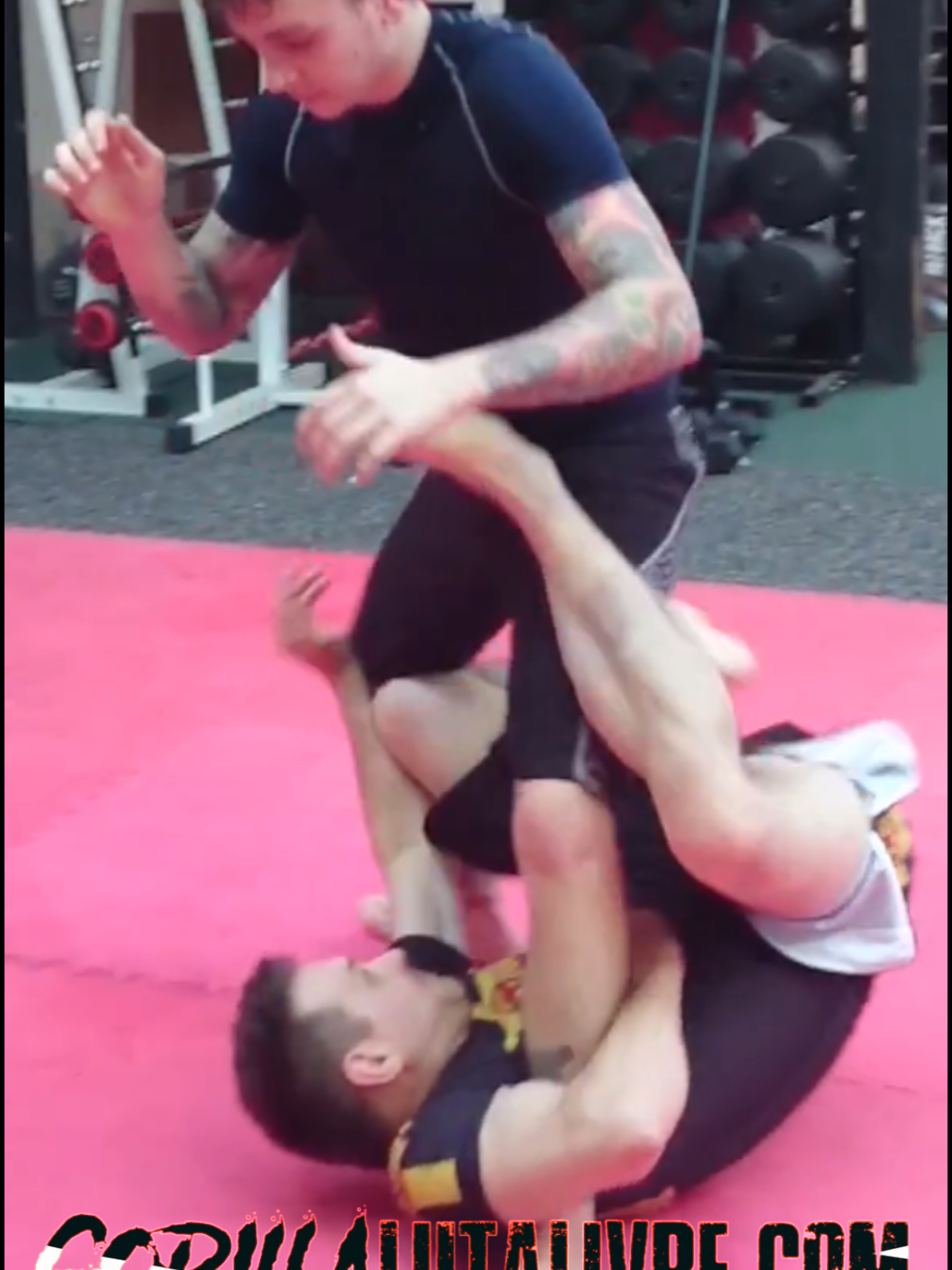 @Team Gorilla Martial Arts