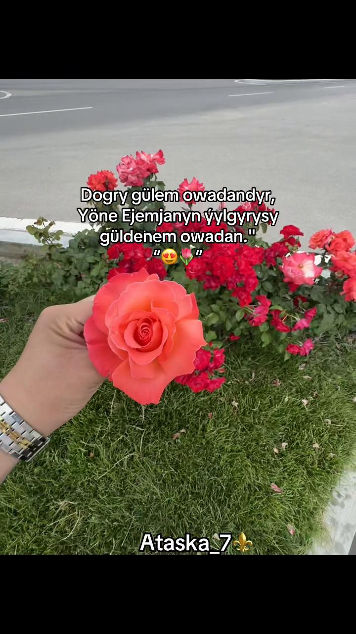 @Atashka_7
