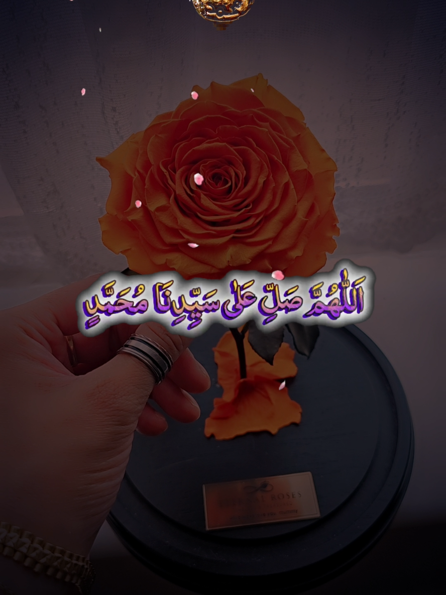 @♡Ãʟʟǟɦӄǟʏʟɛʏǟ Łօʋɛʟʏ_ʝɛ♡
