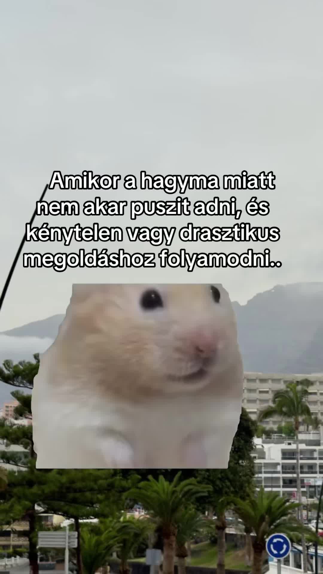 @Niki