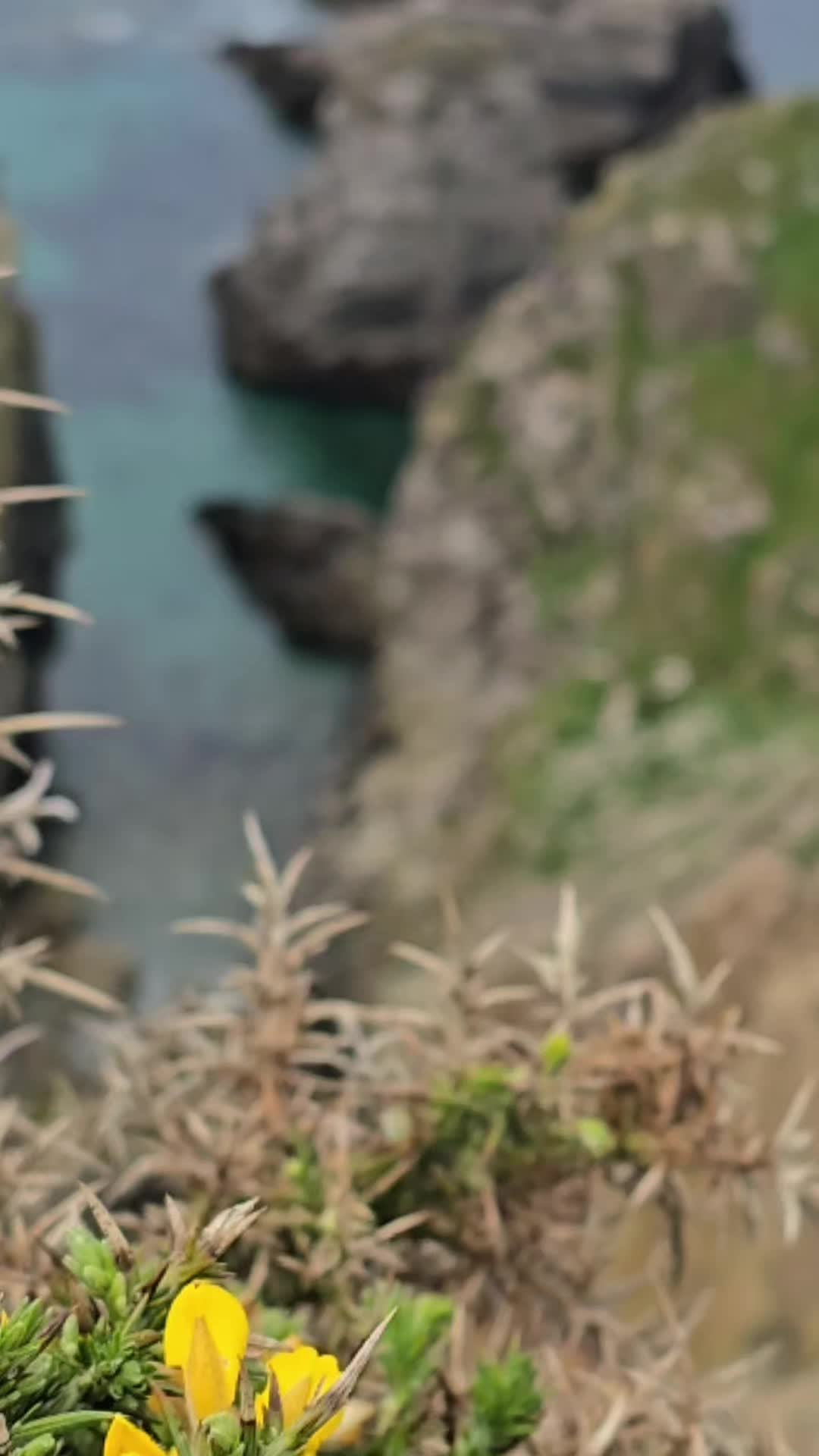 @〓〓 Paul in Cornwall 〓〓