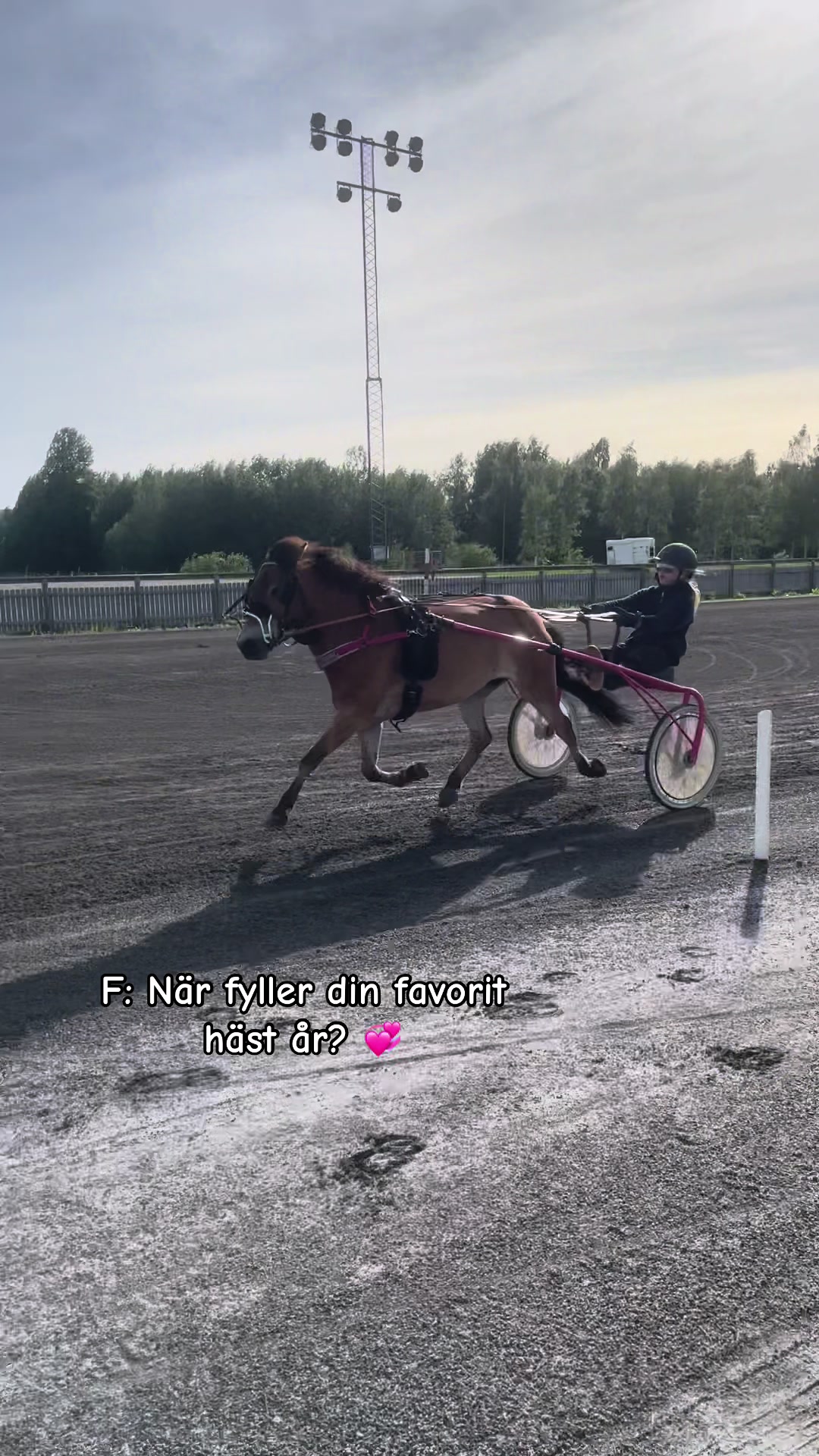 @ℐ𝓈𝒶𝒽 ℒ𝒾𝓃𝒹𝒷ℯ𝓇𝑔 🇸🇪