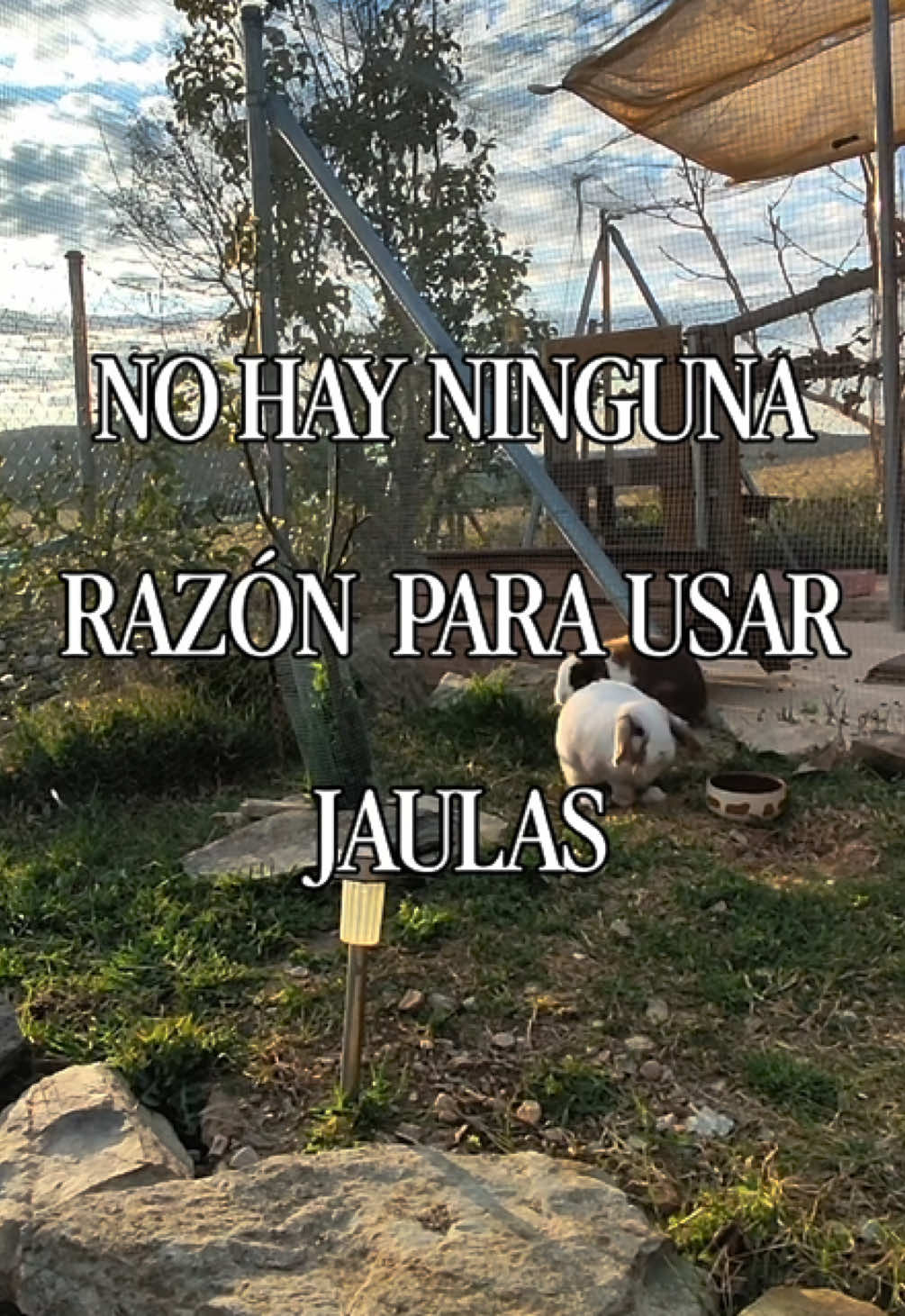 @Granja lagom
