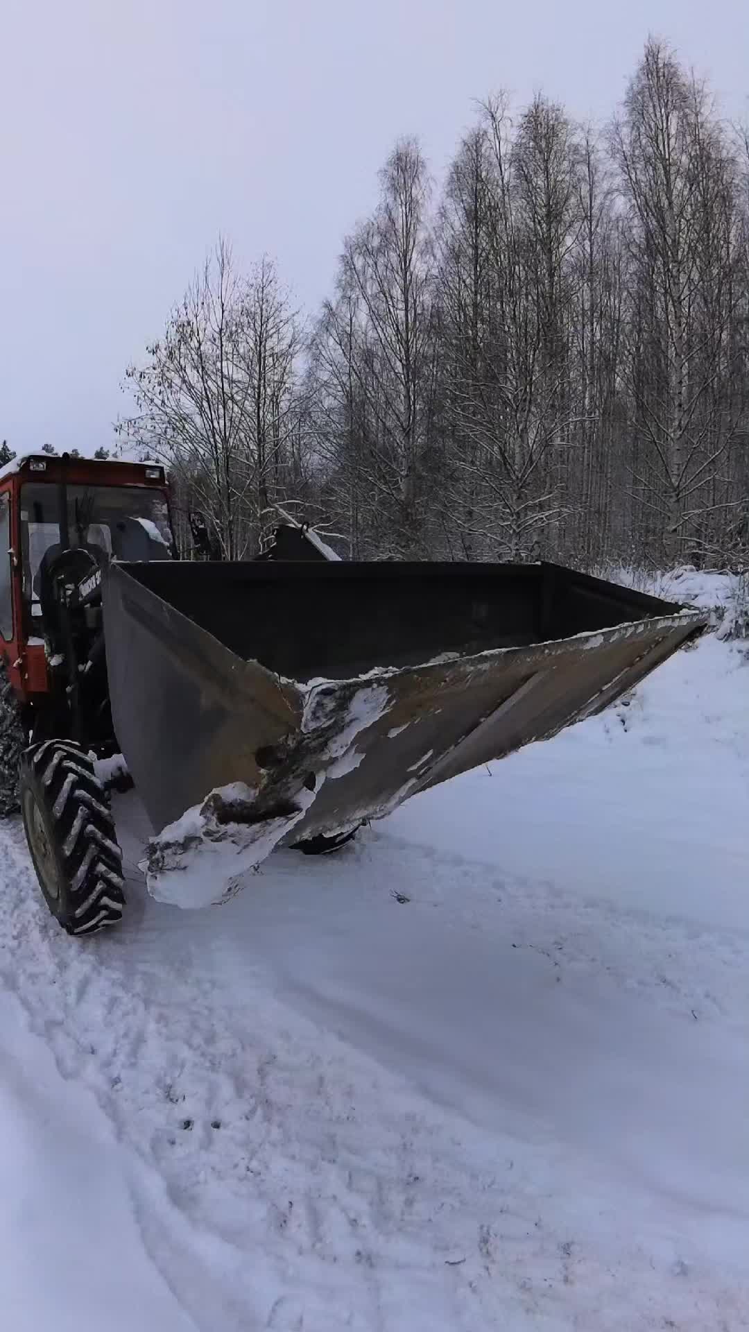 @ForestAndWheels