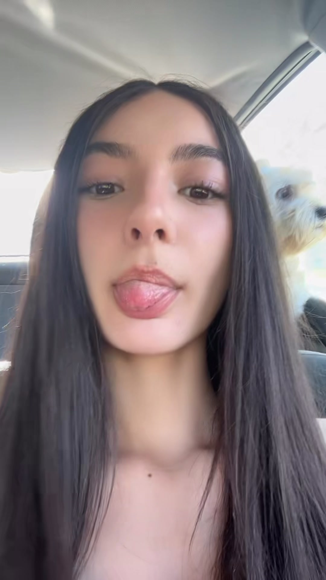 @user1296729175