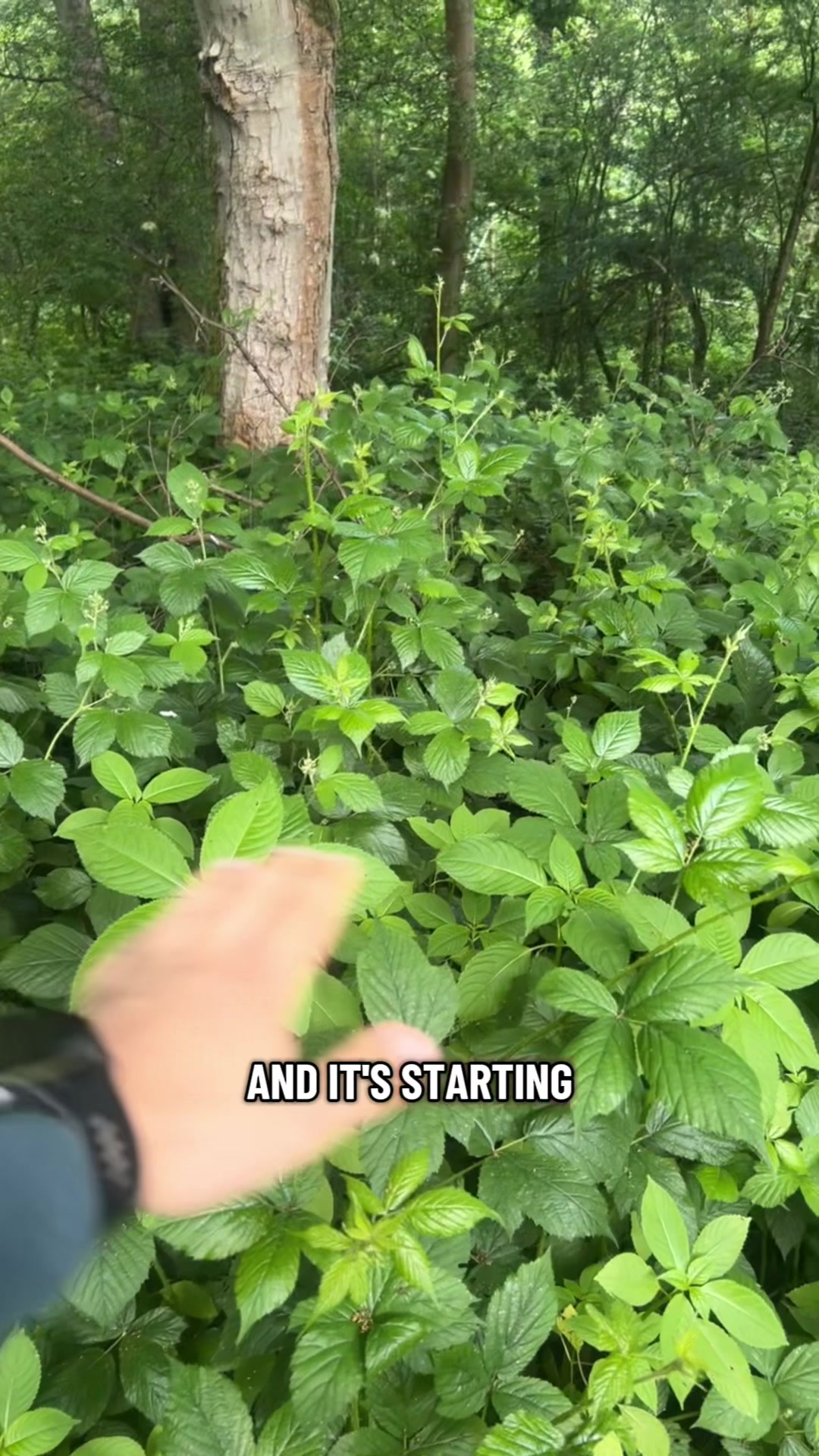 @Sam Bentley | Ecology