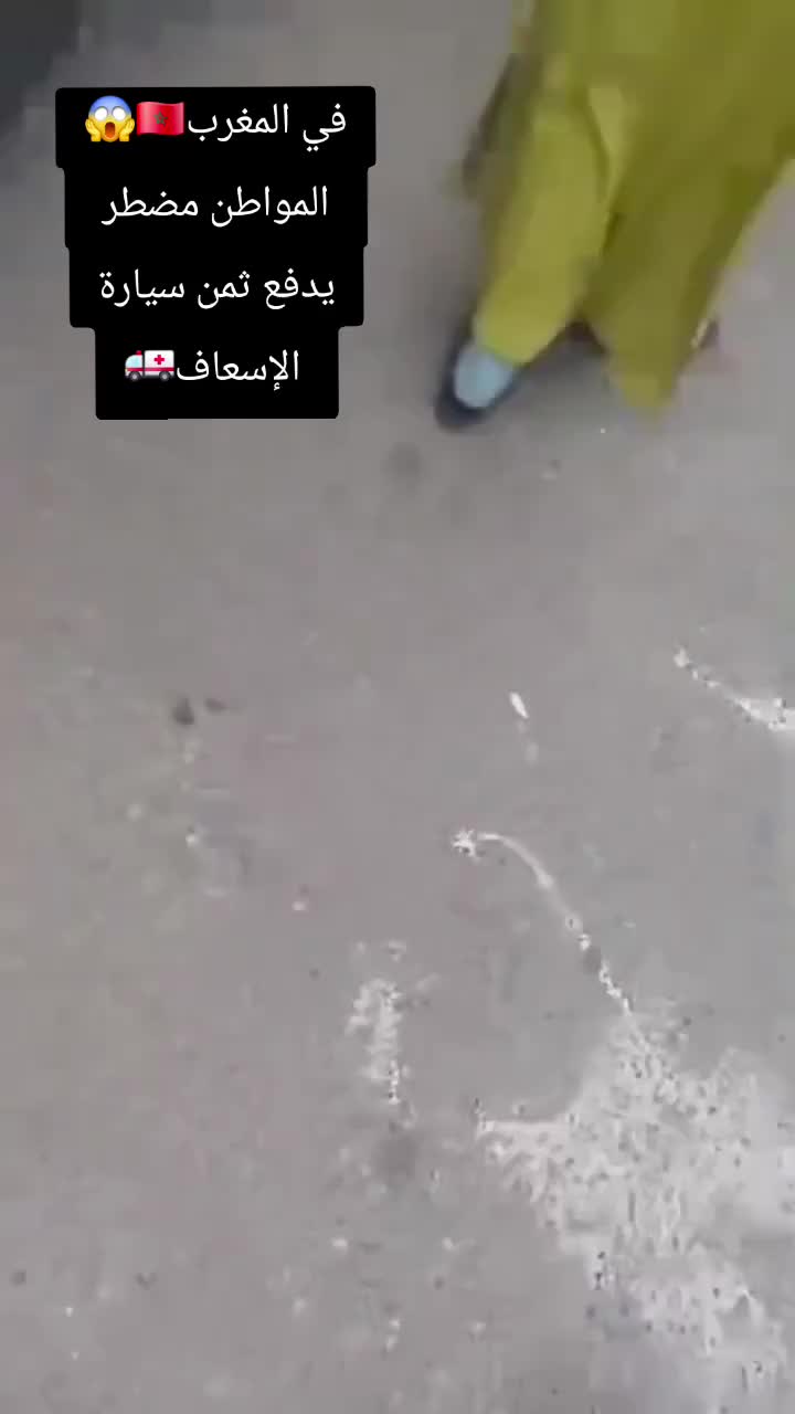 @๐ซ๐ ุงูุดููุฑุฉ๐๐ซ